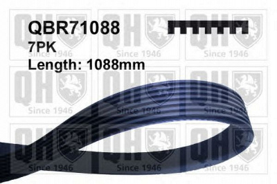 QUINTON HAZELL qbr71088 -  Поликлиновой ремень